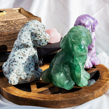 Crystal Dog¡¾LIMITED SALES¡¿